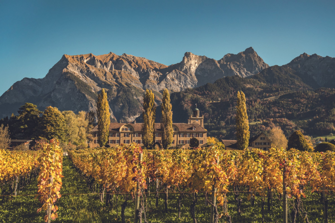 Das Schloss Salenegg in Maienfeld gilt als ältestes Weingut Europas (Foto: © Schweiz Tourismus / Tina Sturzenegger) Schloss Salenegg in Maienfeld