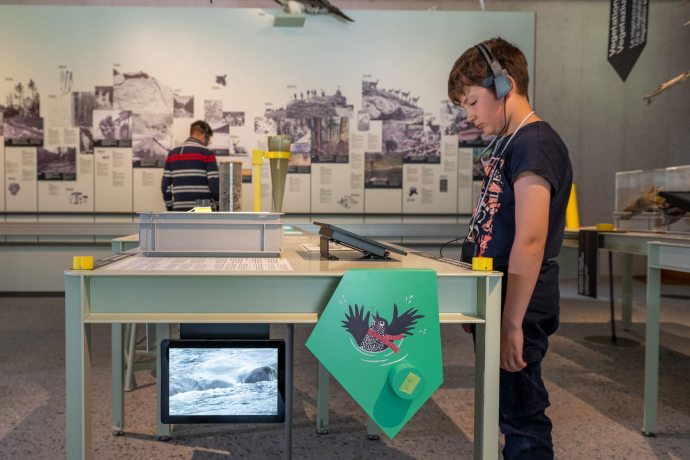 Das Nationalparkzentrum in Zernez lädt Gäste dazu ein, spielerisch die Natur und Tierwelt des Schweizerischen Nationalparks zu entdecken (Foto: © Hans Lozza, Schweizerischer Nationalpark) Hörspielstation mit Furbina und Ratsch im Nationalparkzentrum in Zernez