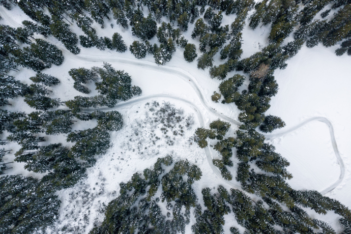 A thick blanket of snow and towering fir trees as far as the eye can see – no wonder this skating trail is considered one of the most beautiful ice trails (Photo: © Nico Schaerer) The Ice Trail Engadin winds through the forest like a loop