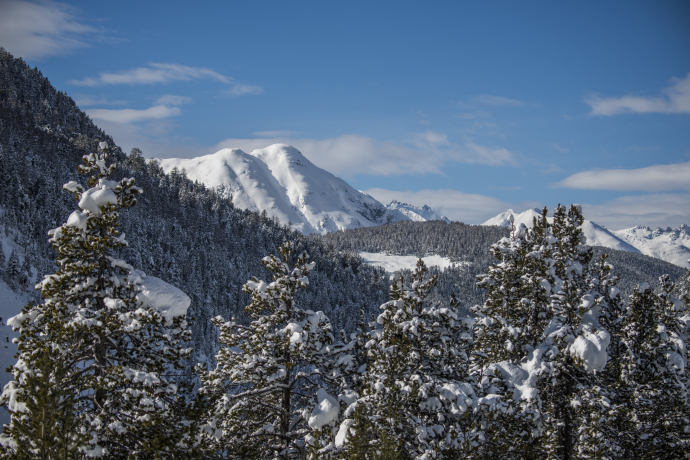 Schweizer Nationalpark im Winter Schweizer Nationalpark im Winter