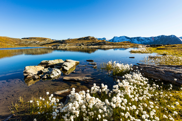 Flüeseen (Foto: © demateo AG) Flüeseen