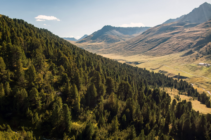 God da Tamangur (Foto: © GRF, Marco Hartmann) God da Tamangur