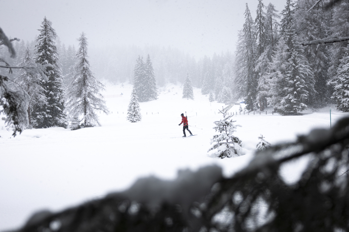 Frisch verschneite Loipen