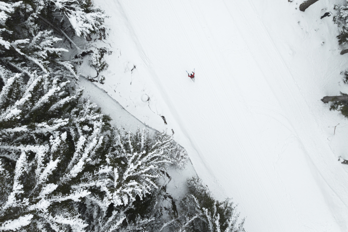 Die Loipe schlängelt sich durch den Wald