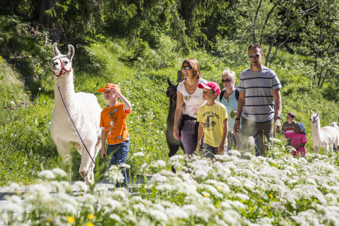 Familien mit Kindern beim Lamatrekking in Brigels