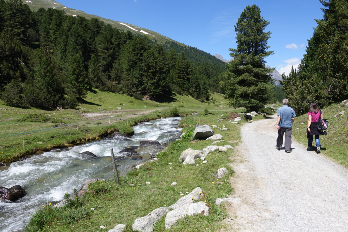 Wandern im Val Müstair zum God da Tamangur (© Angelika Abderhalden)