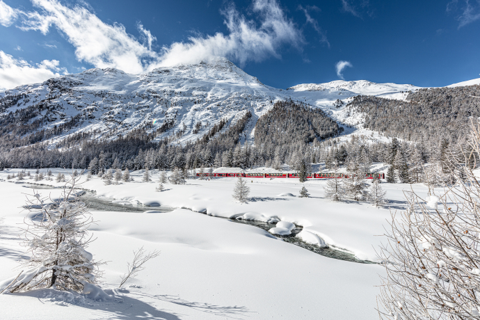 Der Bernina Express fährt durch die verschneite Winterlandschaft bei Pontresina