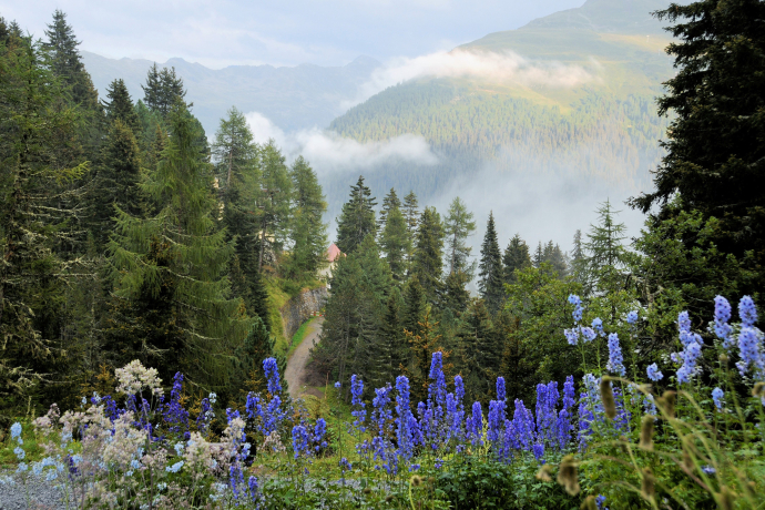 Thomas-Mann-Platz Schatzalp