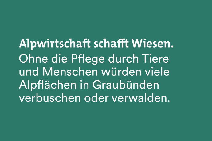 Fun Fact Fairtrail: Ohne die Alpwirtschaft würde die Fläche verbuschen oder verwalden. Fun Fact Fairtrail: Ohne die Alpwirtschaft würde die Fläche verbuschen oder verwalden.