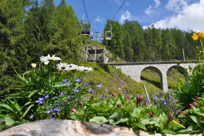 Le téléphérique Darlux permet de se rendre confortablement à une altitude élevée au départ de Bergün, avec une vue sur la forêt, les montagnes et les fleurs (source de la photo : Chemins de fer rhétiques) Télésiège Darlux en été avec des fleurs colorées au premier plan et une forêt en arrière-plan