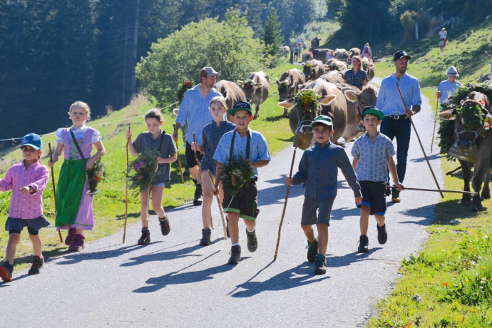 Gruppe von Kindern und Erwachsenen in traditioneller Kleidung begleitet festlich geschmückte Kühe beim Alpabzug über eine Landstrasse