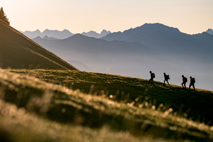 Vier Wandernde gehen bei tiefstehender Sonne über einen grasigen Hang