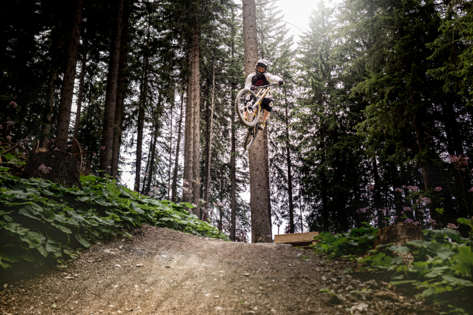 Ein Mountainbiker springt im Wald über einen Holz-Drop im Alpenbikepark Chur