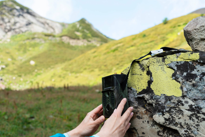 Zwei Hände befestigen eine kleine Wildkamera an einem mit Flechten bewachsenen Felsen; im Hintergrund liegt eine grüne Berglandschaft.
