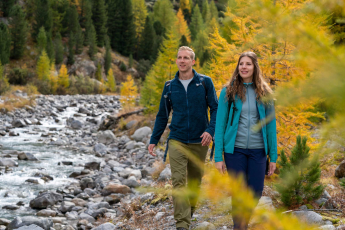 Durch goldige Lärchen wandern: Der Herbst gehört zu den schönsten Zeiten im Engadin Durch goldige Lärchen wandern: Der Herbst gehört zu den schönsten Zeiten im Engadin
