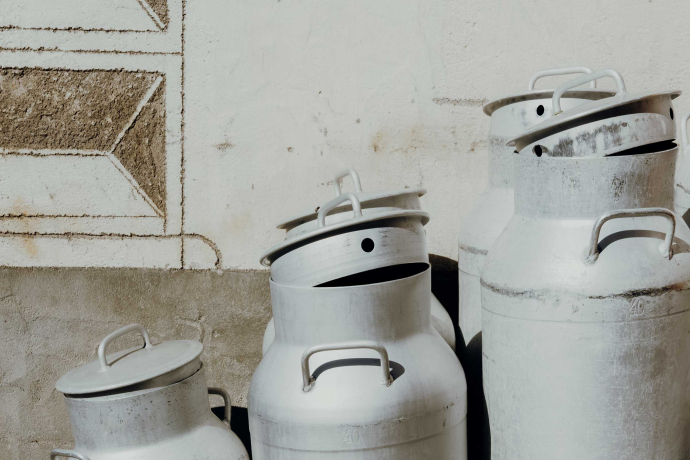 Jeden Abend liefern einheimische Bauern Milch für den Käse. Jeden Abend liefern einheimische Bauern Milch für den Käse.