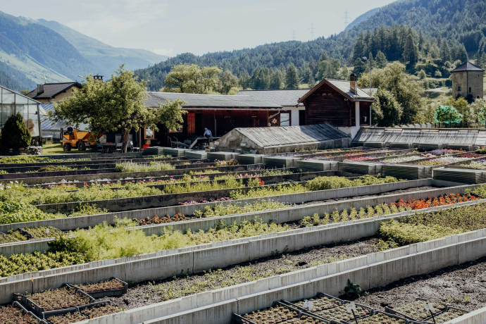 Bereits 1928 wurde die Gärtnerei Müller gegründet und wird heute in 3. Generation geführt. Bereits 1928 wurde die Gärtnerei Müller gegründet und wird heute in 3. Generation geführt.