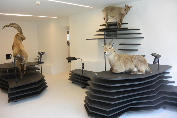 Capricorn Ausstellung im Naturpark Beverin