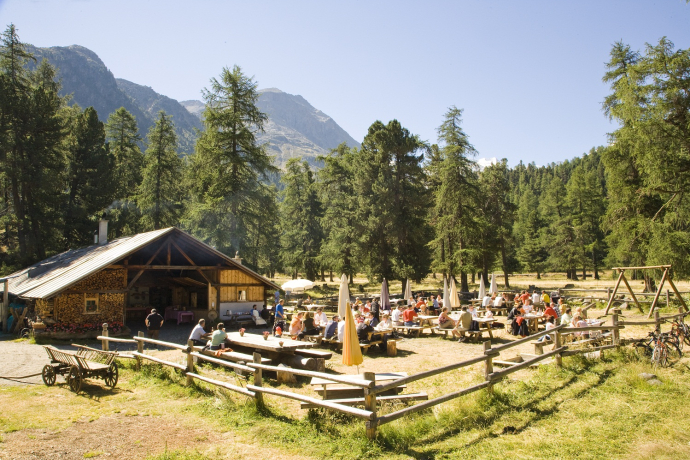 Alpkaeserei Morteratsch