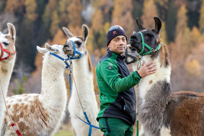 Isidor Sepp mit seinen Lamas (© Nicola Pitaro) Isidor Sepp mit seinen Lamas (© Nicola Pitaro)