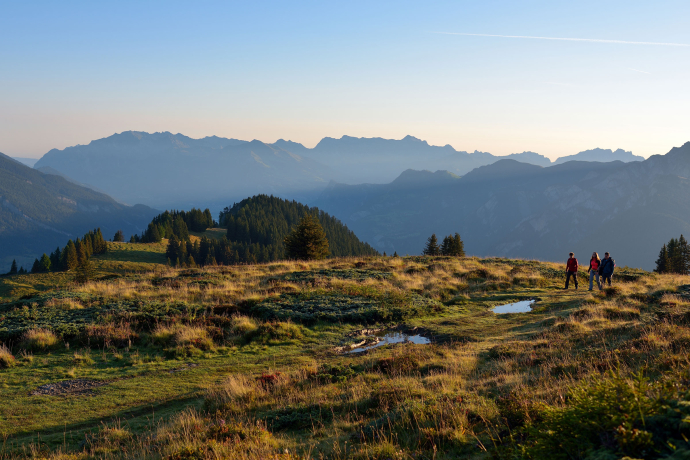 Wanderer auf Brambrüesch (Foto: © Chur Tourismus) Wanderer auf Brambrüesch (Foto: © Chur Tourismus)
