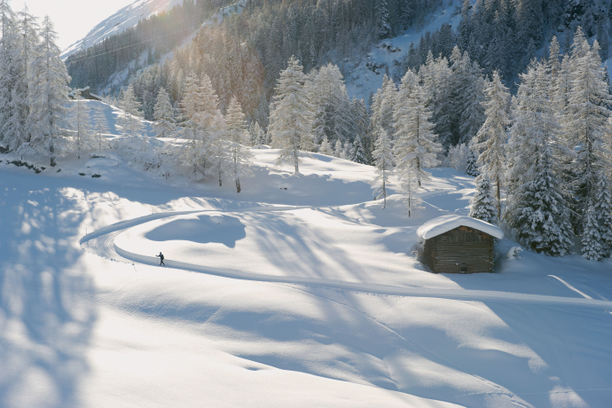Cross-country skier enjoys the snow-covered landscape in Davos (Photo: © Destination Davos Klosters)