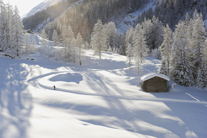 Ski de fond dans le Dischmatal Davos (Foto: © Stefan Schlumpf) Ski de fond dans le Dischmatal Davos (Foto: © Stefan Schlumpf)