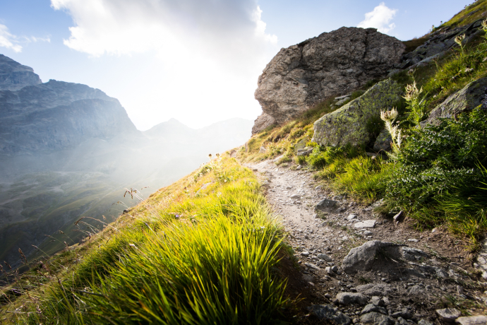 Corviglia Flowtrail in Engadin St. Moritz Corviglia Flowtrail in Engadin St. Moritz
