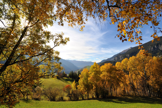 Der Naturpark Ela in Savognin Bivio Albula