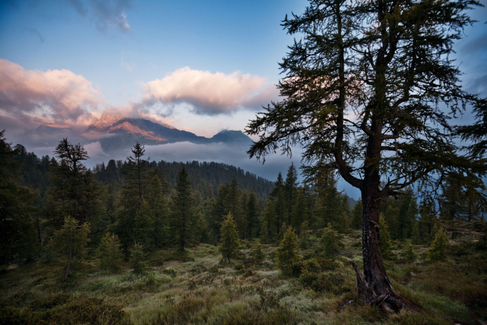 Landschaft im Val Calanca, Graubünden