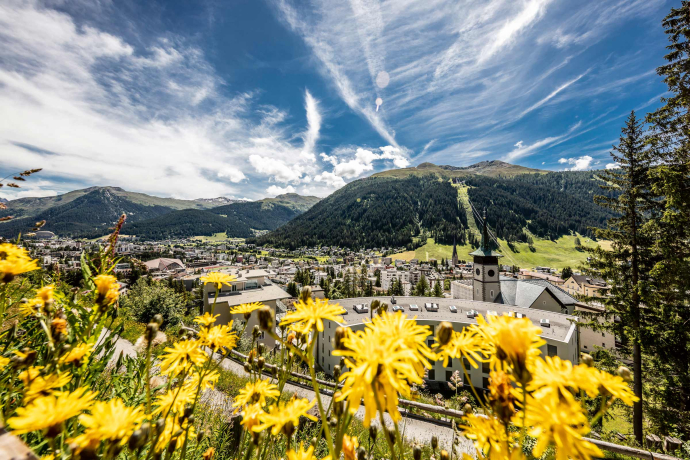 Davos (Foto: © Destination Davos Klosters, Andrea Badrutt) Blick auf das sommerliche Davos mit Sonnenblumen im Vordergrund