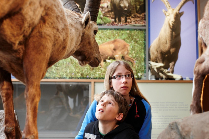 Kinder im Bündner Naturmuseum in Chur