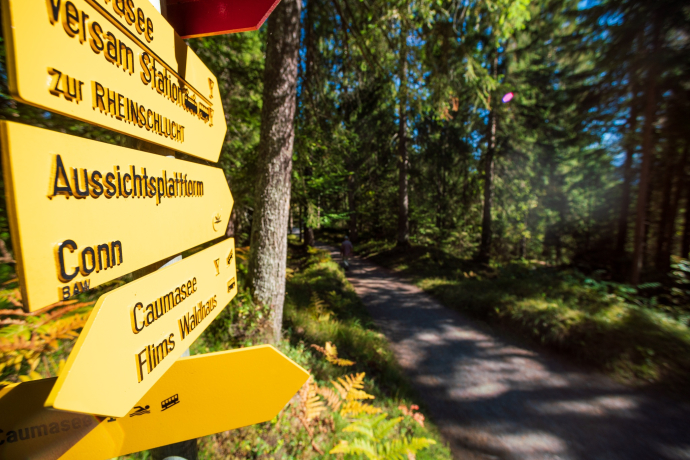 Wanderweg in Flims (Foto: © Flims Laax Falera, Jascha Schmid) Wanderweg in Flims (Foto: © Flims Laax Falera, Jascha Schmid)