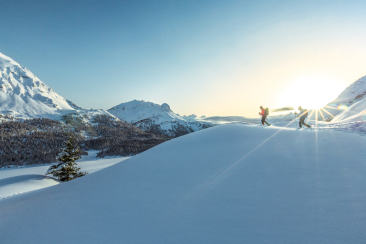 Schneeschuhwandern in Maloja