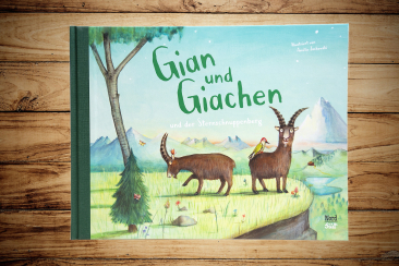 Kinderbuch «Gian und Giachen und der Sternschnuppenberg»
