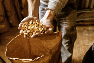 Mulino Scartazzini im Promontogno