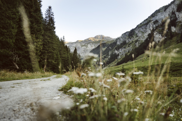 Der Weg ins Val Frisal