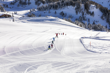 Schweizerische Schneesportschule im Skigebiet Feldis