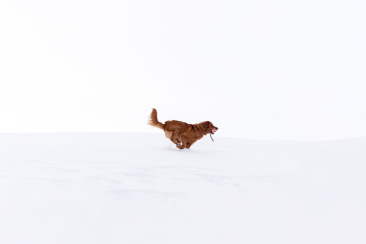 Endor im Winter (Foto: © Thalia Wünsche)