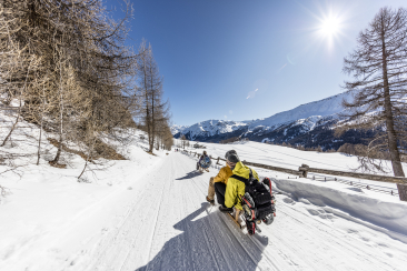 Schlitteln von der Alp Champatsch nach Tschierv (Foto: © Andrea Badrutt)