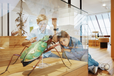 Zwei Kinder bestaunen ein Modell eines Käfers im Bündner Naturmuseum