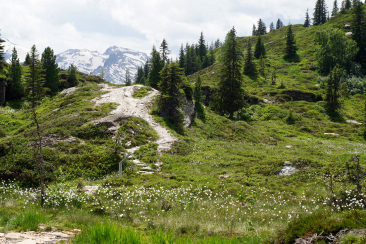 Panoramaweg beim Hochmoor Kristallloch von Zerfreila nach Gadastatt