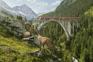 Titelbild Jahresbericht Graubünden Ferien 2015