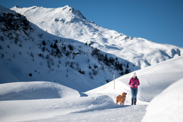 Rundwanderung am Heinzenberg