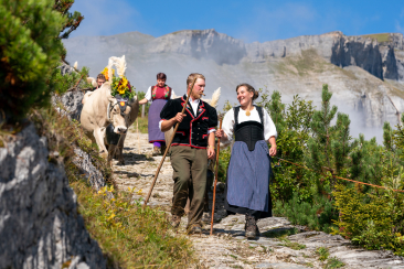 Eine Frau und ein Mann in Trachten laufen mit Kühen am Alpabzug Flimserstein einen Bergweg hinab