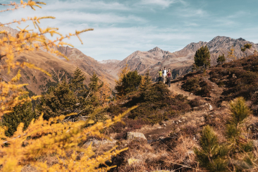 Wandergruppe auf dem Panoramaweg Darlux bei Bergün umgeben von herbstlichen Lärchen und Bergen
