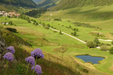 Tümpel beim Golfplatz Sedrun