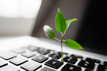 Kleiner grüner Baum wächst aus Laptoptastatur