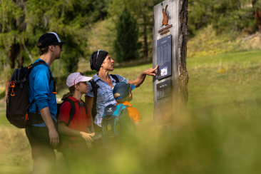 Steinbock Promenade Pontresina