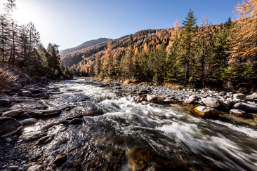 Der Inn im Unterengadin im Herbst